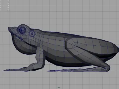 frogs frog 3D model purchase