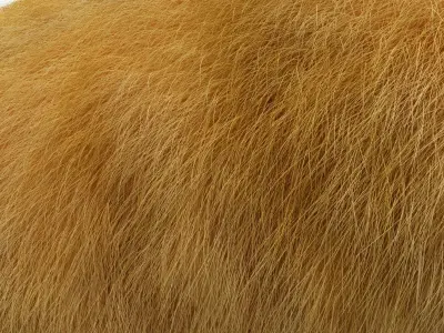 Fluffy Pillows for bedroom  living room decor  and car cushion  3D model