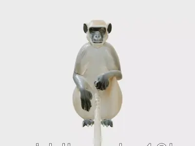 Langur Monkey 3D Model with Textured Detail Low-poly 3D model