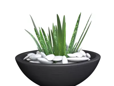 Aloe Vera - Potted Plant 2 3D model