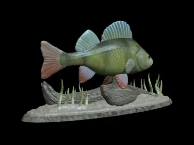 BIG PERCH UNDERWATER STATUE DETAILED TEXTURE FOR 3D PRINTING 3D print model