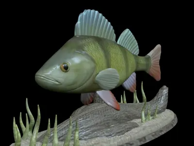 BIG PERCH UNDERWATER STATUE DETAILED TEXTURE FOR 3D PRINTING 3D print model