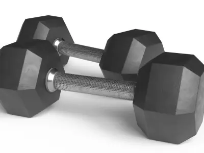 Dumbbells 3D model purchase