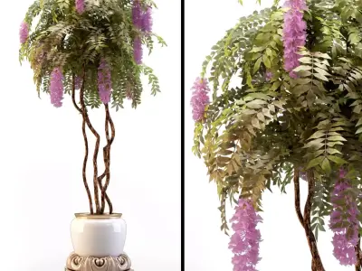 Modern pot indoor flower floral 3D model