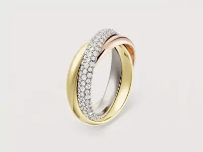 TRI - RING 3D print model