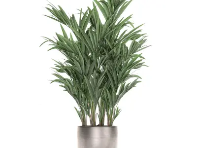 Decorative palm in a flowerpot 696 3D model