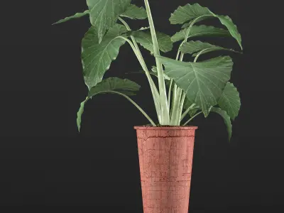 Plants Collection 71 3D model