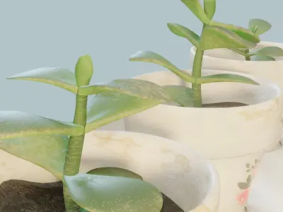 Plant Pot Set Low-poly 3D model