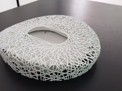 Beijing national stadium Premium edition  3D print model