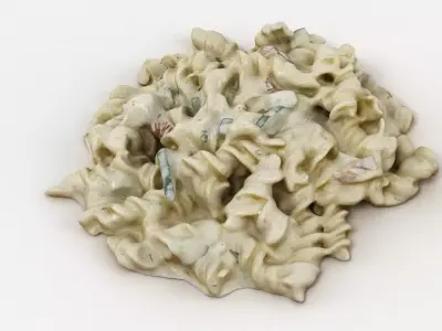 Pasta In Creamy Sauce 3D model
