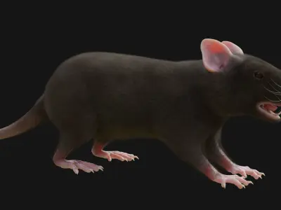 RET FOR VFX CGI 3D model