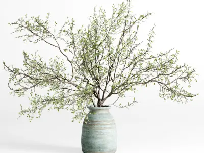 Bouquet plant pampas dry hogweed in a Indian wood Low-poly 3D model