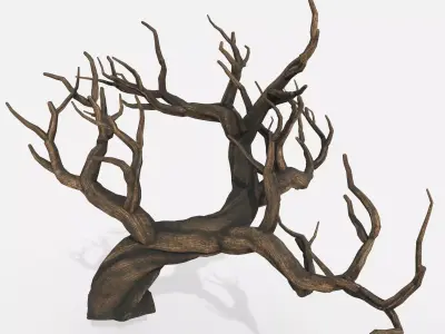 Aquarium Snag V31 3D model