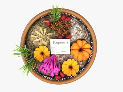 Home fragrance  Potpourri Low-poly 3D model
