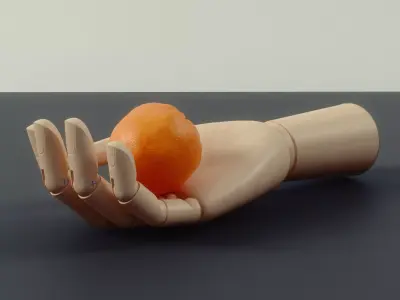 Wooden Hand 3D model