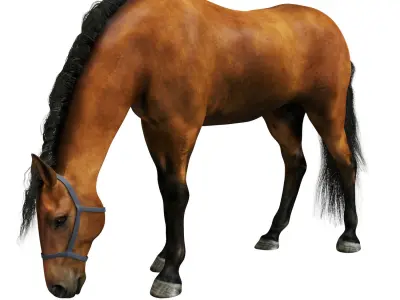Horse grazing 3D model