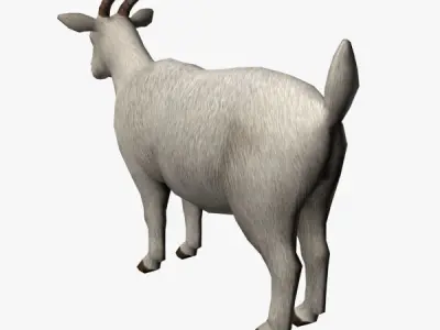 Goat 3D Low-poly 3D model