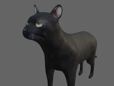 Black Cat - Low and High Detail - Gato Preto Low-poly 3D model