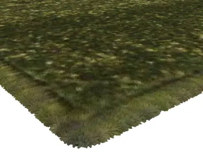 Rug Set 1821 3D model