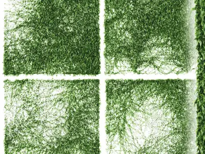 Set of 4 ivy models for walls or fence 3D model