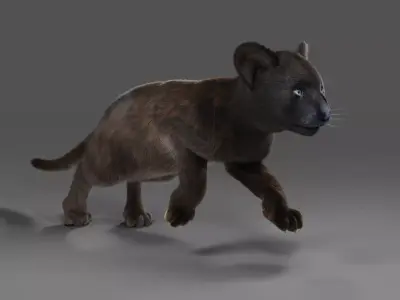 Fur Baby Black Panther Rigged in Blender Low-poly 3D model