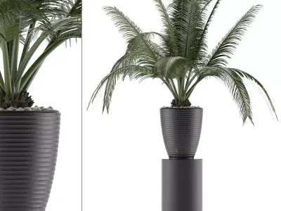 House Plant 29 3D model