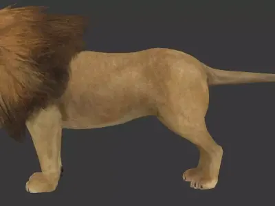 lion animal Low-poly 3D model