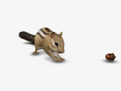 real realistic chipmunk  animal zoo 3D model