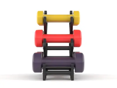 Fitness Dumbbell Set 3D model