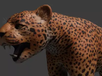 Leopard Rigged Optimized and Game Ready High Quality Mesh Low-poly 3D model