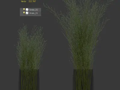 Grass in vases 3D model