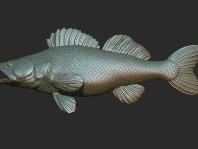 Zander on the base 3D print model