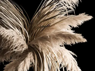 Hanging Bouquet Of Dry Reeds For Decoration 266 3D model