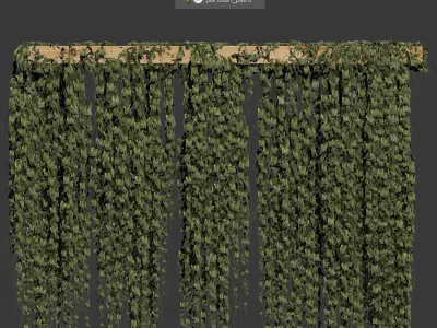 Plant leaf partition or screen 3D model