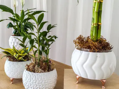 Modern Vase Collection - plant vase 3D print model