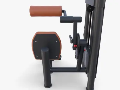 Lower back machine 3D model