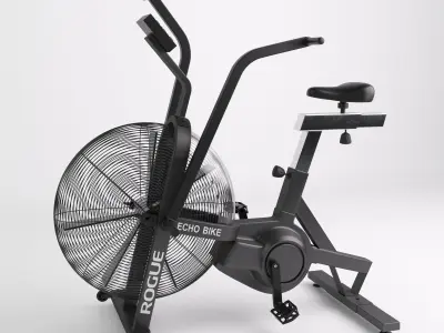 Rogue Echo Bike 3D model