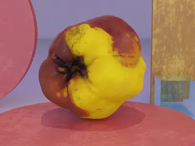 Quince fruit 07 high-poly 3D model