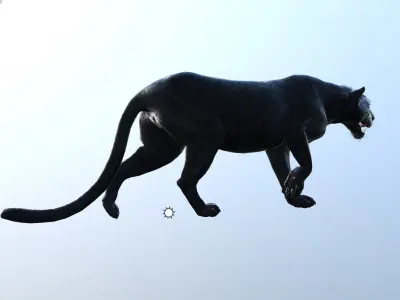 Panther -Lowpoly Animation Low-poly 3D model