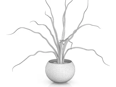 Plant in Black Wooden Pot 3D model