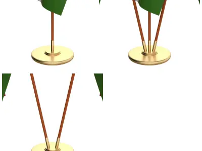 Gambia Flag Pack 3D model