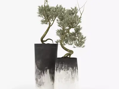 Olive Tree 3D model