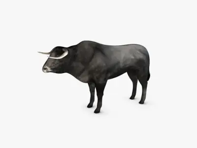 Low Poly Bull Low-poly 3D model