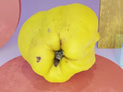 Quince fruit 05 high-poly 3D model