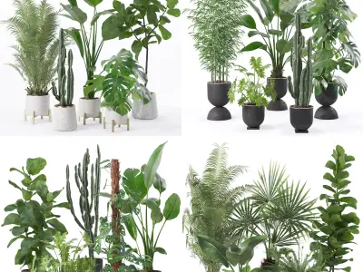 20 Photorealistic Flowers for Interiors - set 122 128 133 139 3D Model Collection