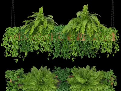 Indoor Hanging Plants - Set 05 and Set 06 3D model