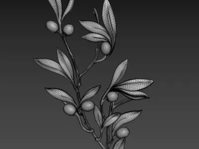 Olive Branch 3D model