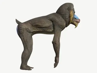 Mandrill Low-poly 3D model