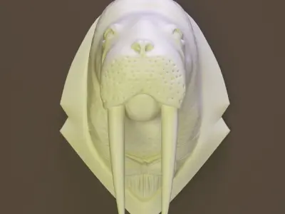 Walrus head 3D model