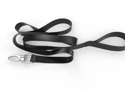 Pet Leash M01 Low-poly 3D model